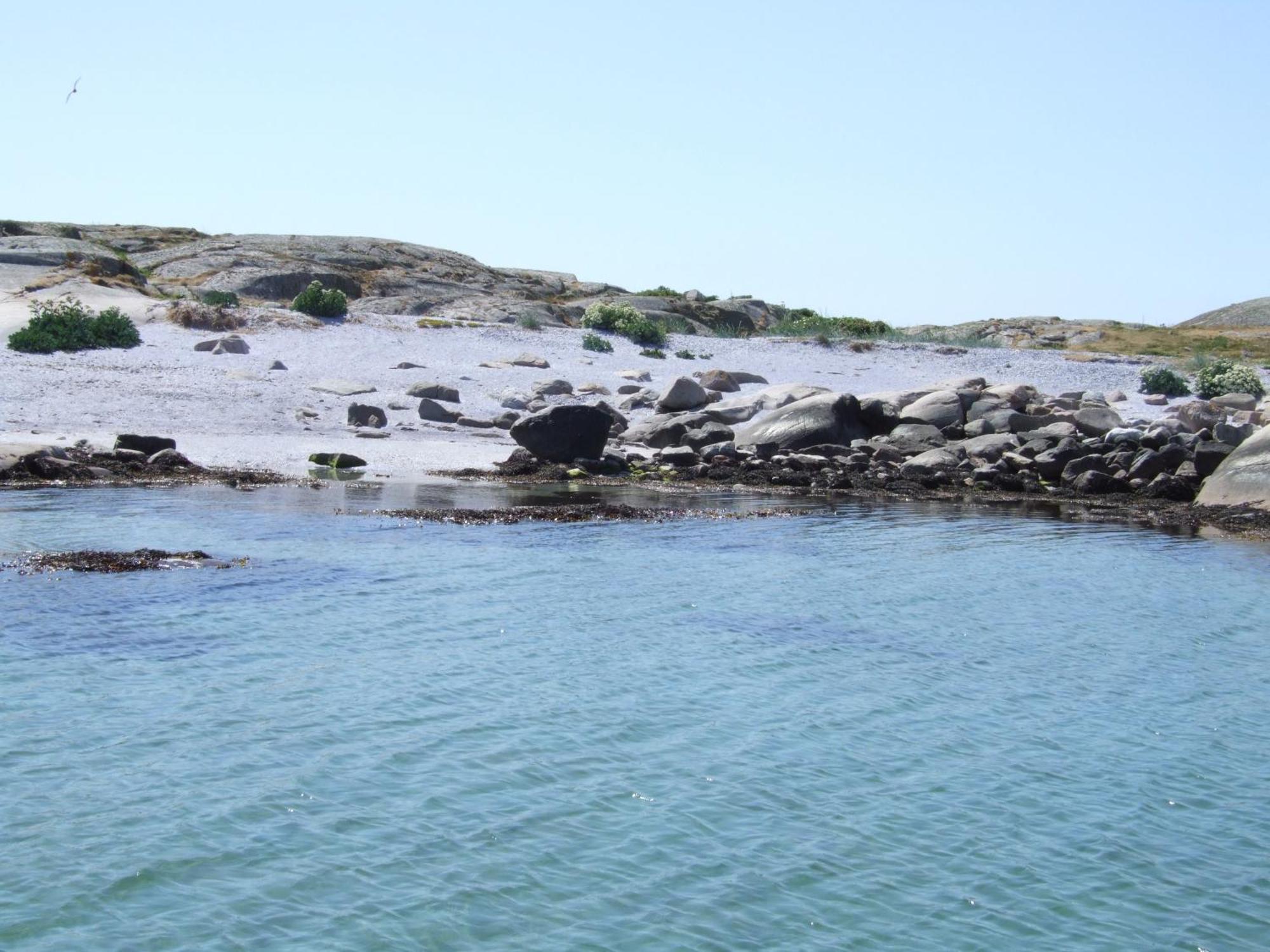 Hotell Fisketangen Kungshamn Dış mekan fotoğraf