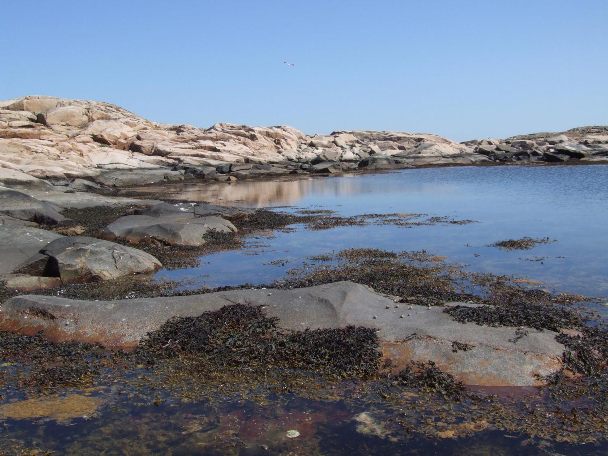 Hotell Fisketangen Kungshamn Dış mekan fotoğraf